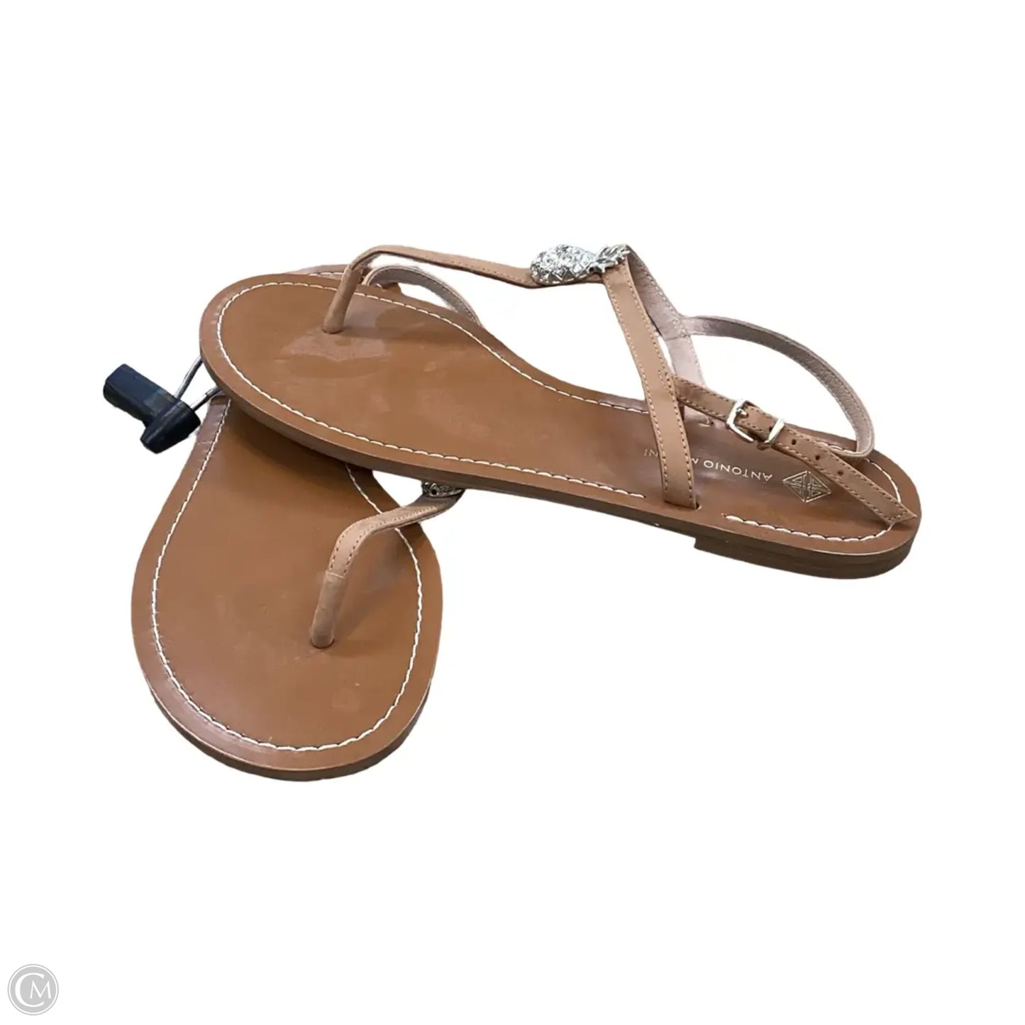 Sandals Flats By Antonio Melani In Tan, Size: 9