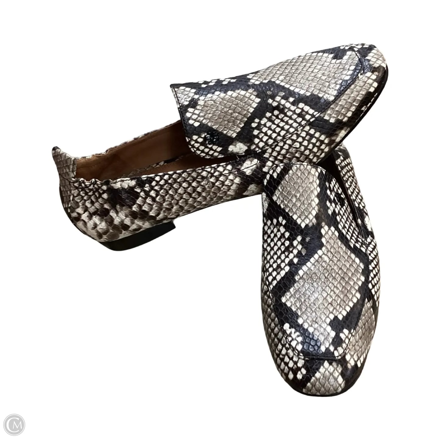Shoes Designer By Tory Burch In Animal Print, Size: 8