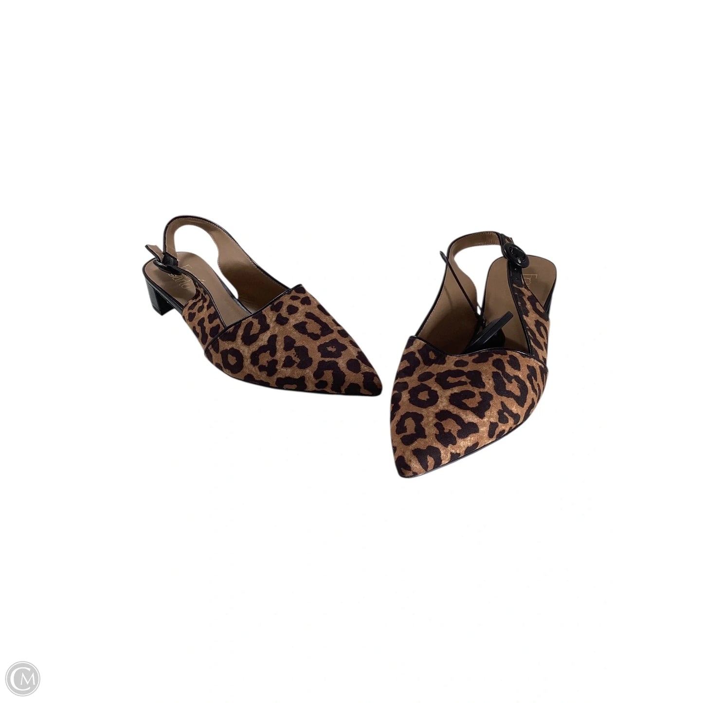 Shoes Heels Block By Franco Sarto In Animal Print, Size: 9.5