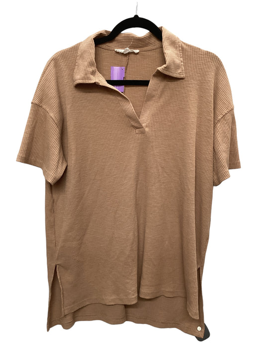 Brown Top Short Sleeve Jane And Delancey, Size M