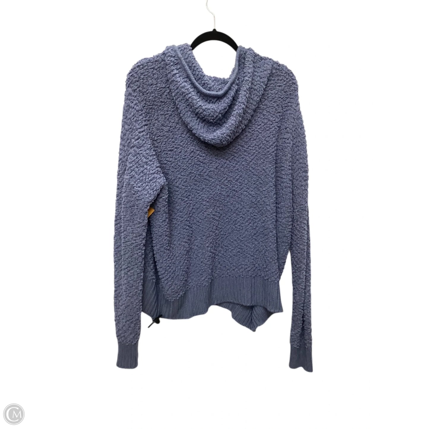 Sweatshirt Hoodie By Clothes Mentor In Blue, Size: L