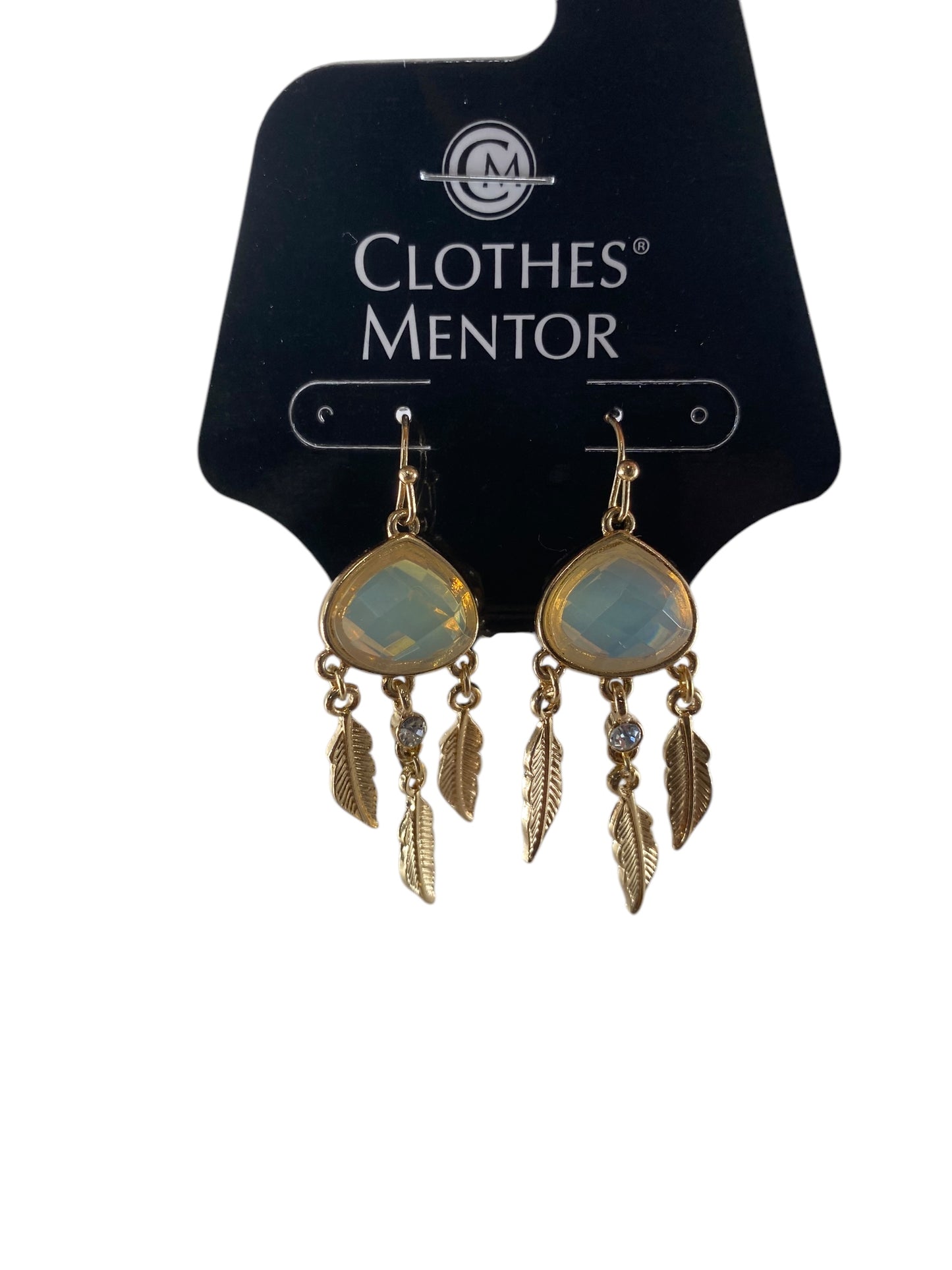 Earrings Dangle/drop By Altard State