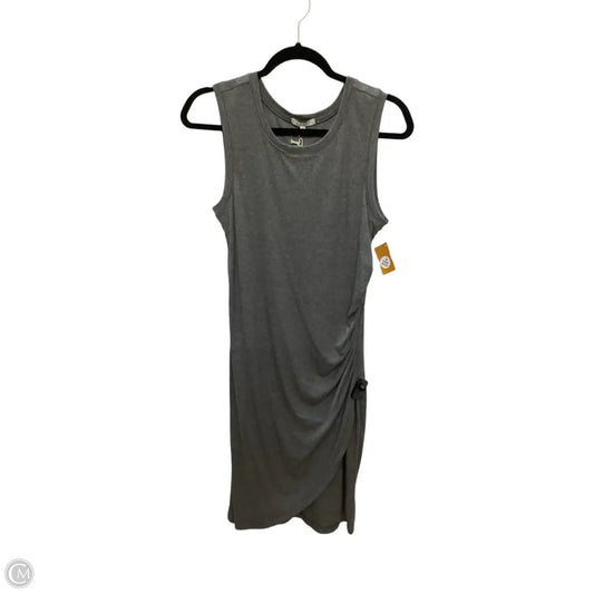 Dress Casual Short By Z Supply In Grey, Size: M