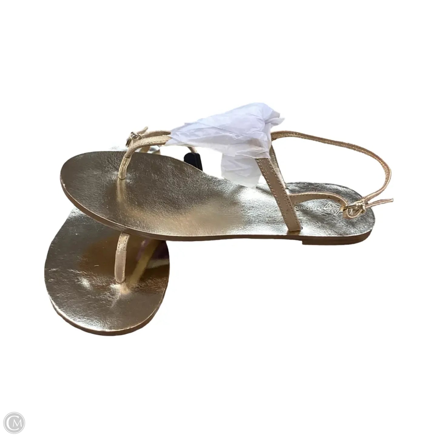 Sandals Flats By Antonio Melani In Gold, Size: 9
