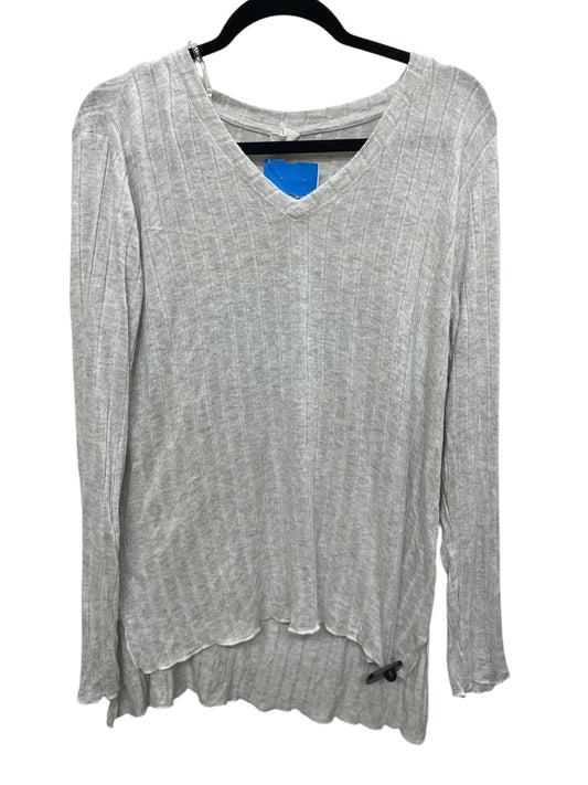 Top Long Sleeve Basic By Clothes Mentor In Grey, Size: L