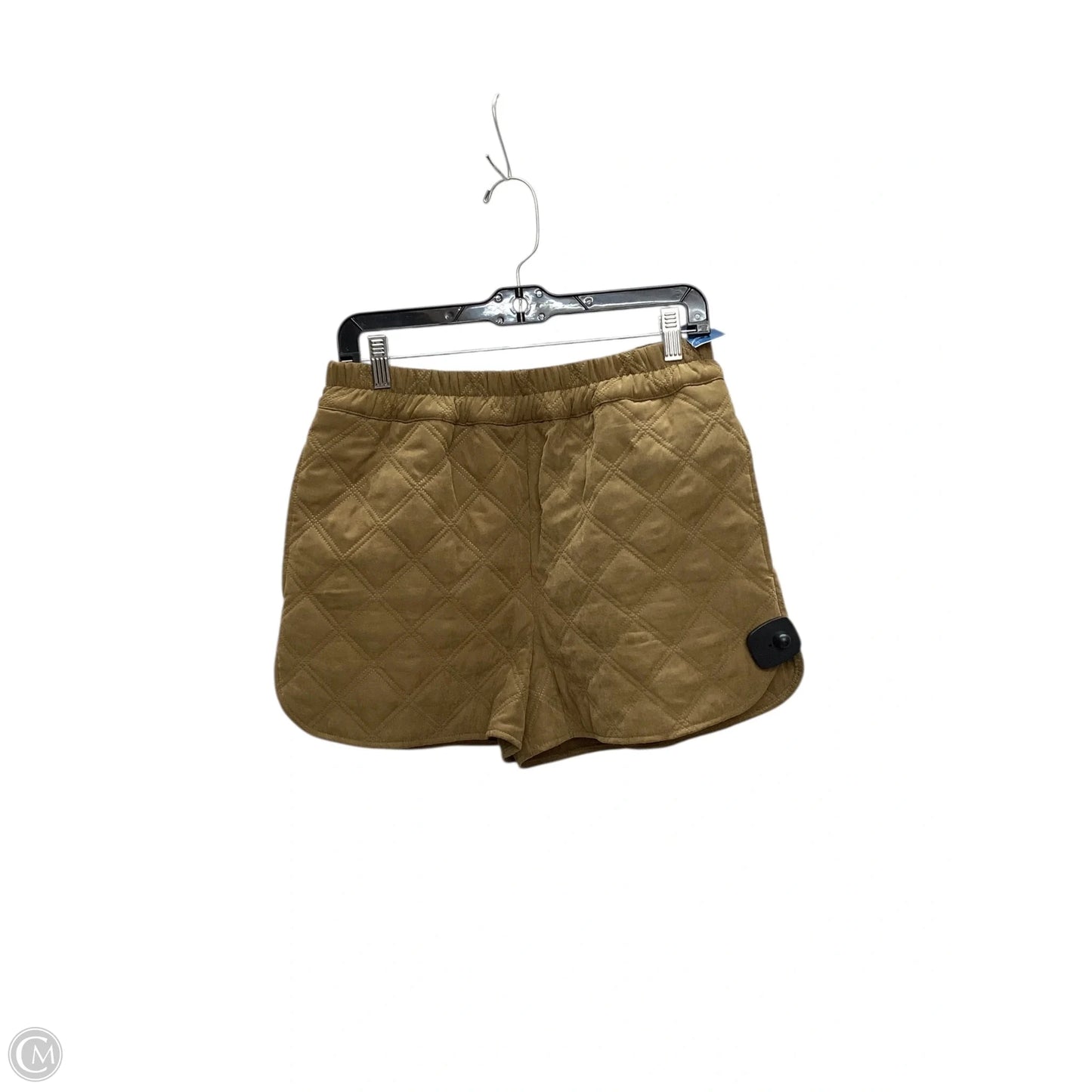 Top 2pc Long Sleeve By Gianni Bini In Brown, Size: M