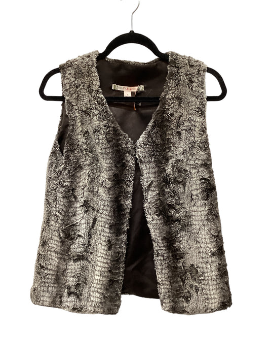 Vest Faux Fur & Sherpa By Chelsea And Violet  Size: S